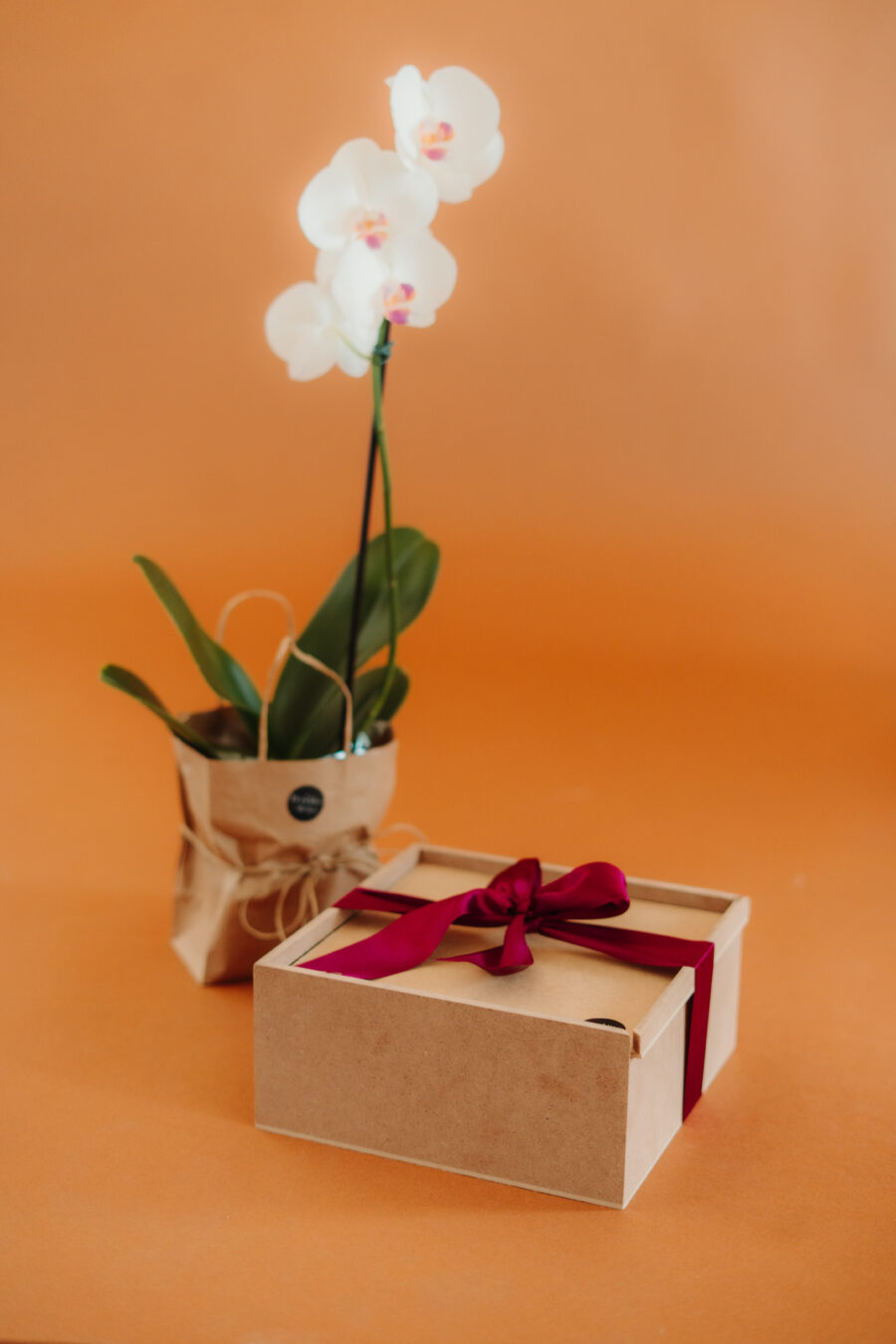 FLOR ORQUÍDEA DIA DAS MÃES